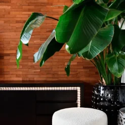 Straluma Calex Smart LED strip RGB + CCT 2 meter><noscript><img width=