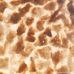 Straluma Grote schelpen hanglamp bruin goud><noscript><img width=