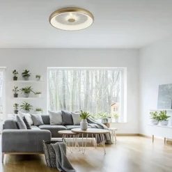 Straluma LED plafondlamp goud met kristaleffect><noscript><img width=