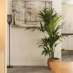 Straluma Moderne staande lamp met draad kap mat zwart><noscript><img width=