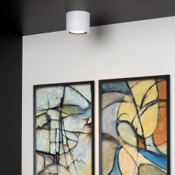 Straluma Plafondspot cilinder wit dim to warm><noscript><img width=