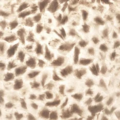 Straluma Schelpen hanglamp bol 40 cm wit/parelmoer><noscript><img width=