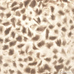 Straluma Sfeervolle tafellamp met schelpen kap><noscript><img width=