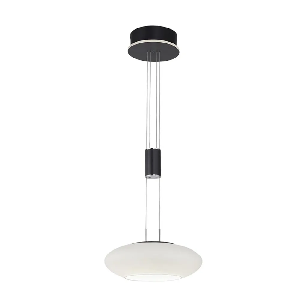 Straluma Smart hanglamp mat zwart met opaal glazen kap> Hanglampen|Smart lampen
