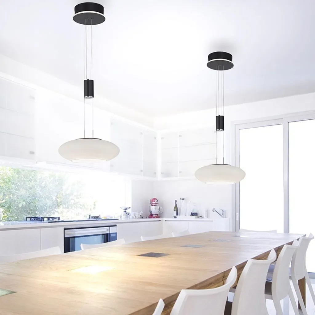 Straluma Smart hanglamp mat zwart met opaal glazen kap> Hanglampen|Smart lampen