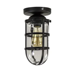 Straluma Zwarte Kooi- plafondlamp met glas> Kooilampen|Woonkamerlampen